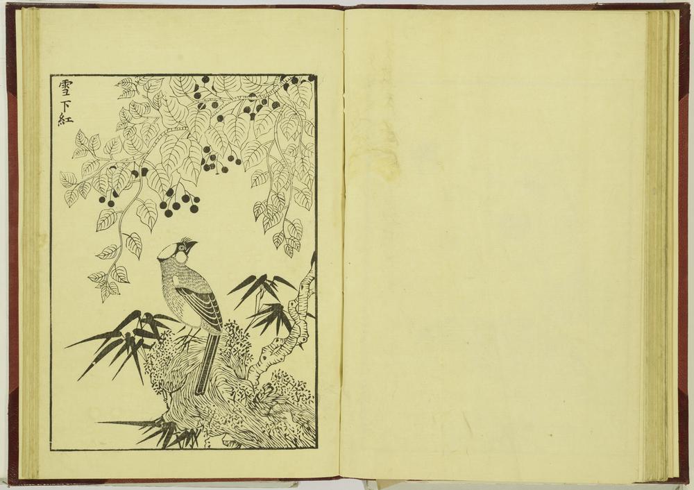 图片[33]-illustrated book; print BM-1915-0823-0.242-China Archive